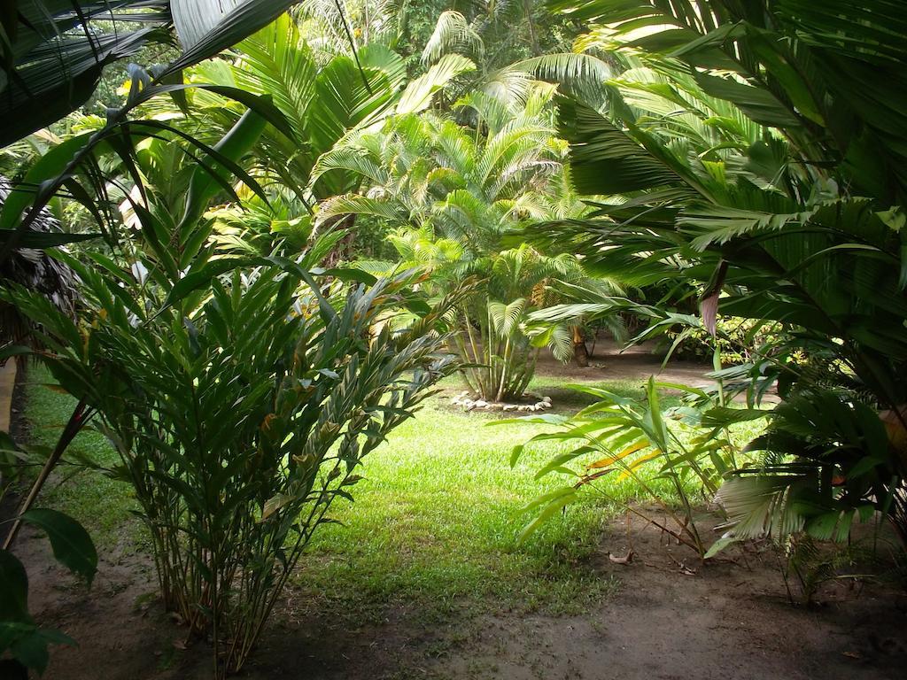 Hotel Salvador Gaviota Livingston Luaran gambar